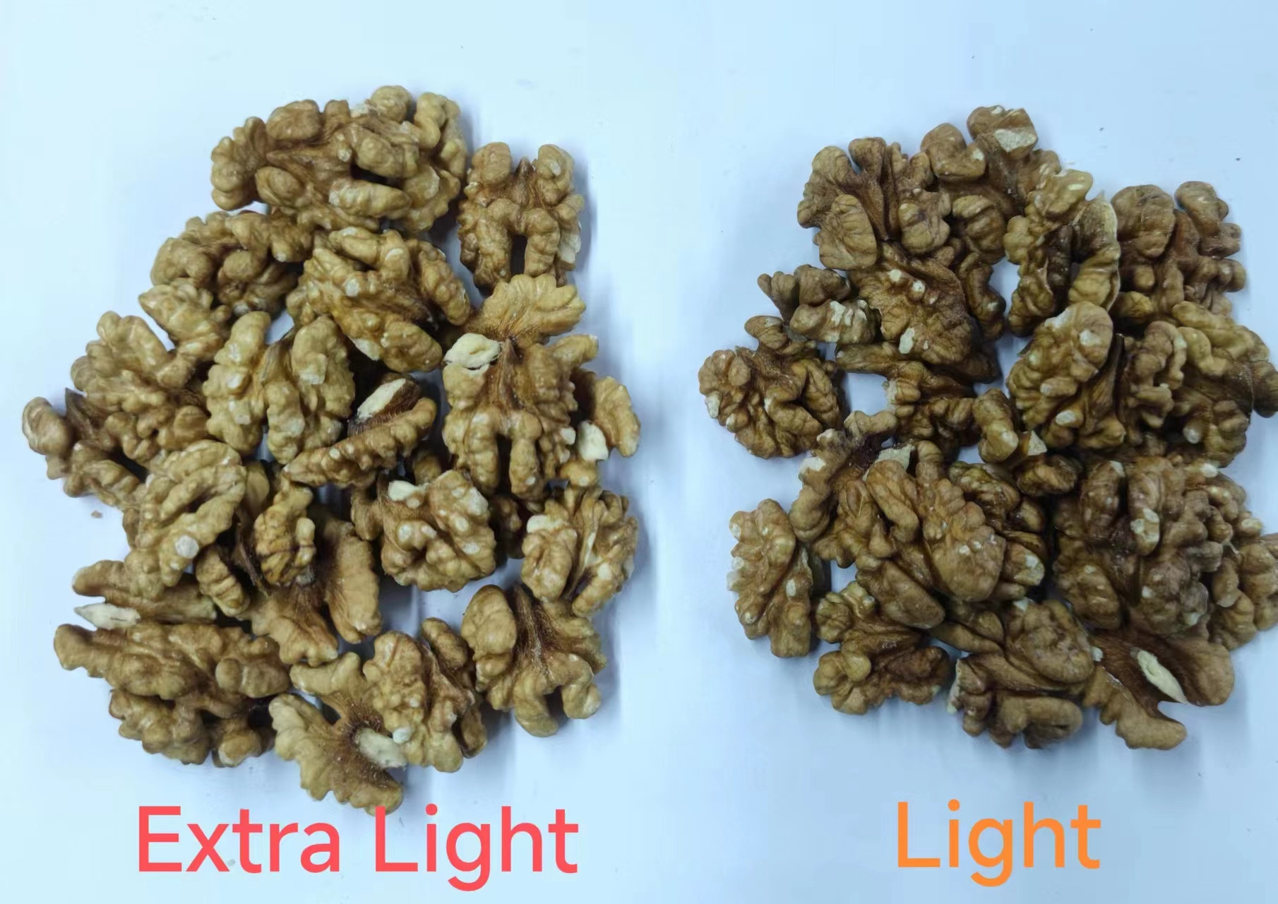 Competitive Price Wholesale Bulk walnut kernel China