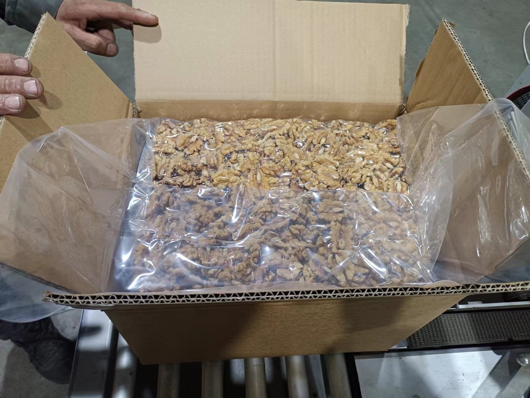 Competitive Price Wholesale Bulk walnut kernel China