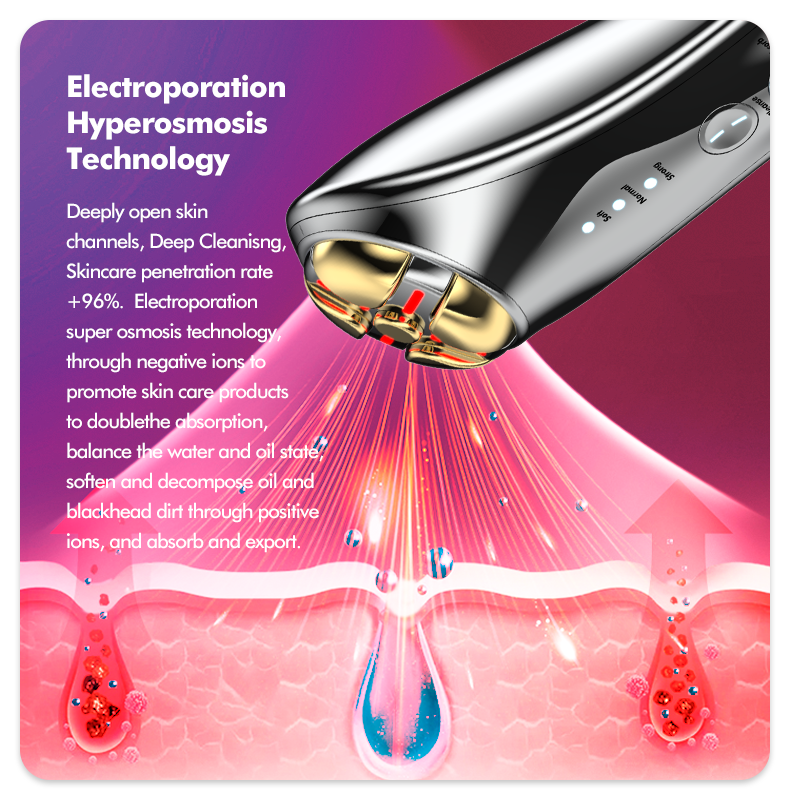 New High Quality Home Use Beauty Devices Microcurrent Beauty Machine Galvanic Facial Machine