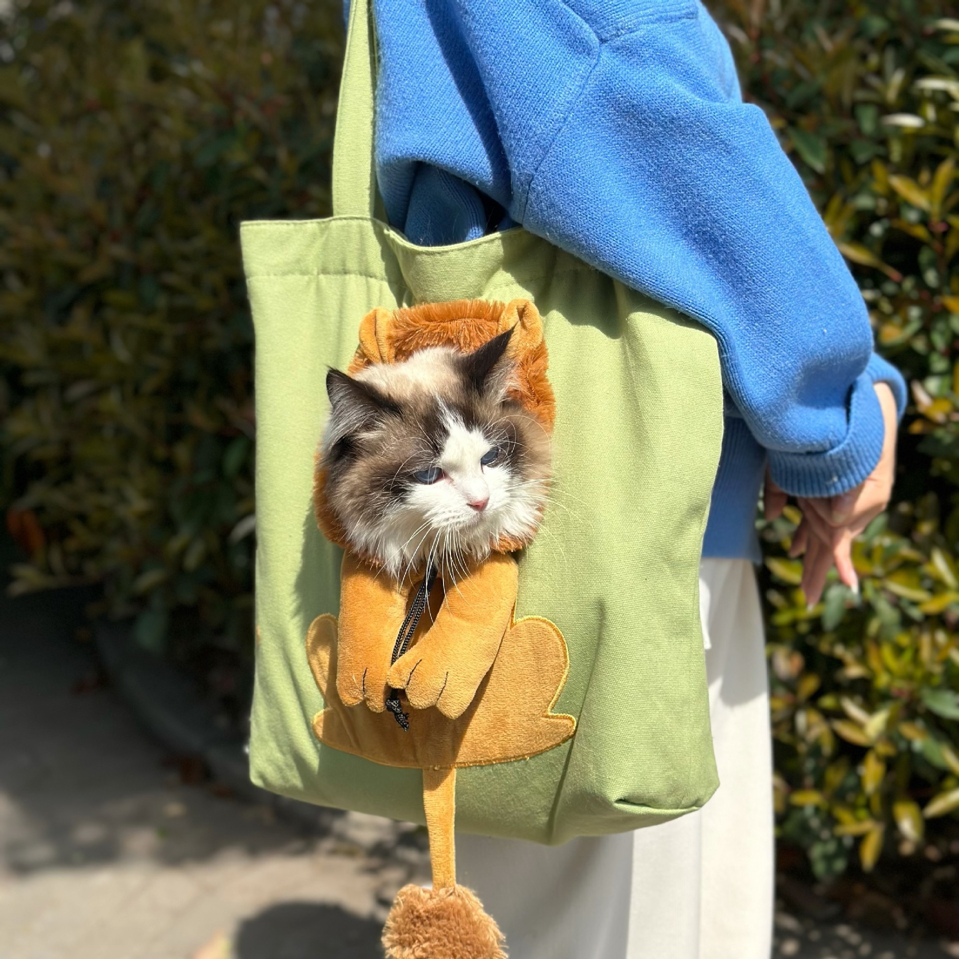 Wholesale Customized Pet Going Out Bag Can Outcrop Small Lion Cat Small Dog One Shoulder Tote Pet Canvas Bag