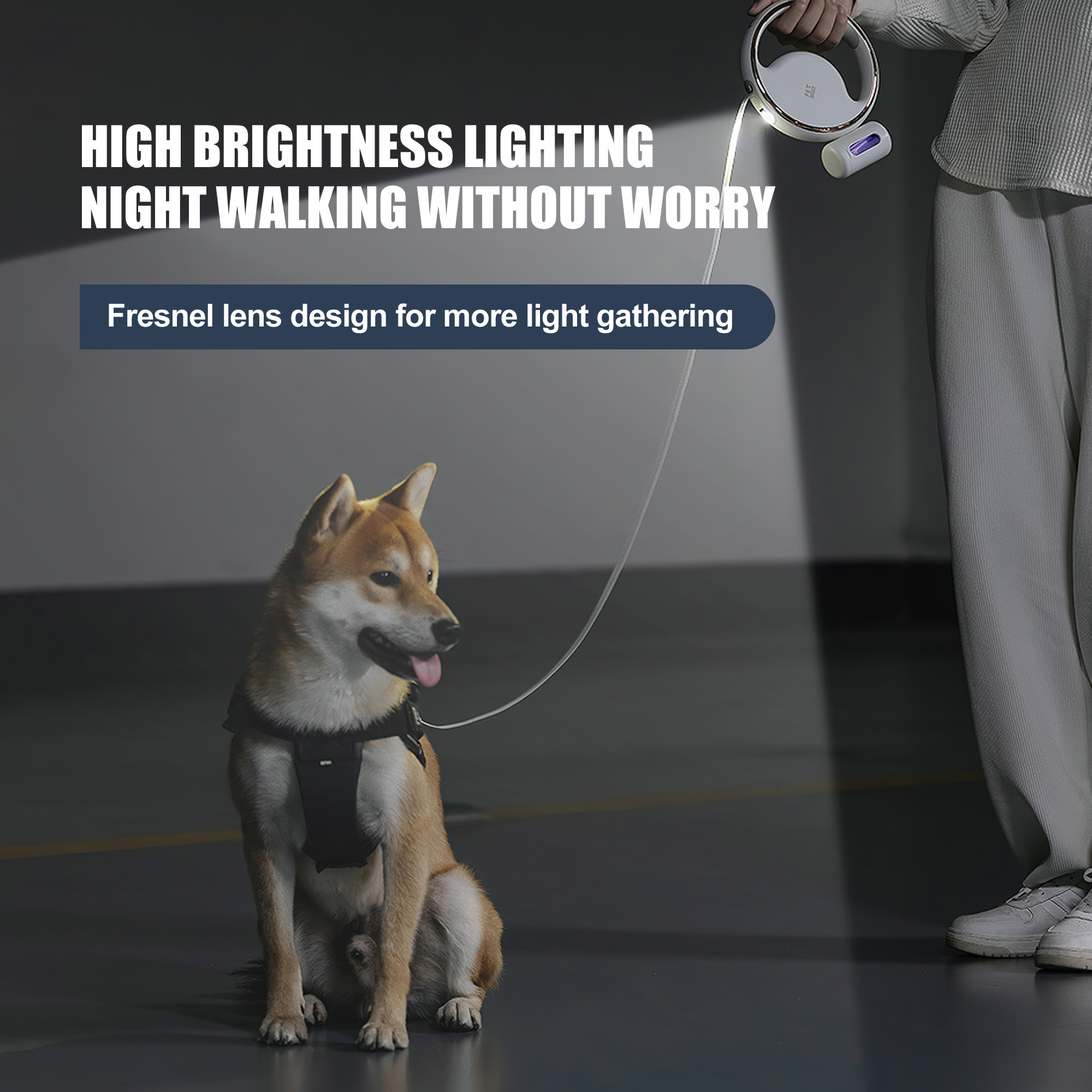 3 Meter Dog Safety Walking Leashes Retractable Dog Leash with Bright LED Flashlight for Small Medium Large Dogs