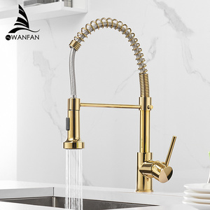 9009 Single Lever Pull down Spring Spout Mixers Tap Brass Faucets for Kitchen Sink kitchen pull down faucet gold Kitchen Faucets