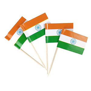 India Flag Indian Toothpick Flags Small Mini  Cocktail Stick Cupcake Toppers Indian Flags