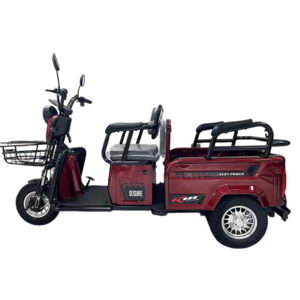 electric tricycle 1000w electric tricycles three wheel scooter electric trike trike-adulto