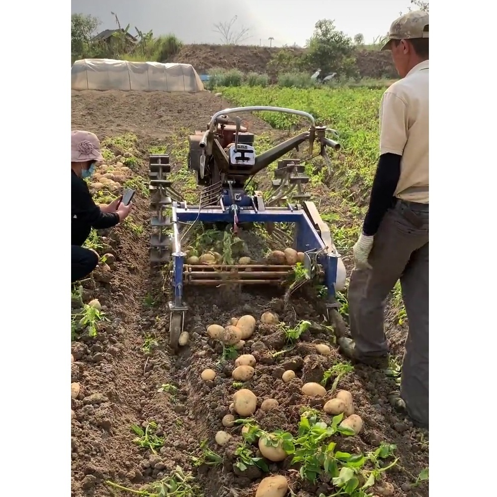 mini hand potato digger walking tractor sweet potato harvester