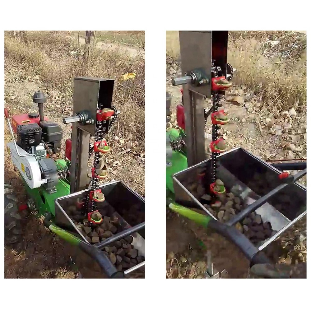 potato planter and digger Potato cultivation machine