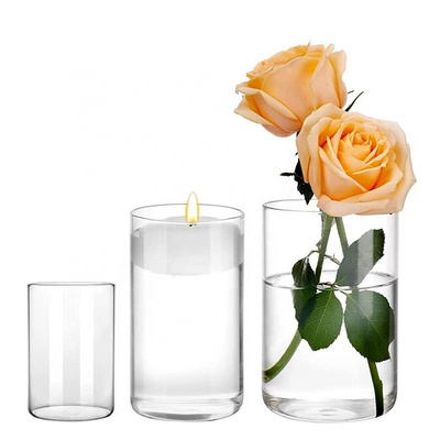 16pcs 6 Inch Glass Cylinder Vases Tall Clear glass flower vase for home decor