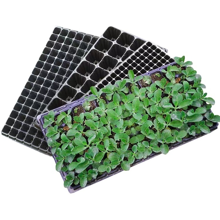 Plastic 21 Cells 50 Cells 128 Cells Garden Germination Plant Tray Seeding Nursery Plug Trays