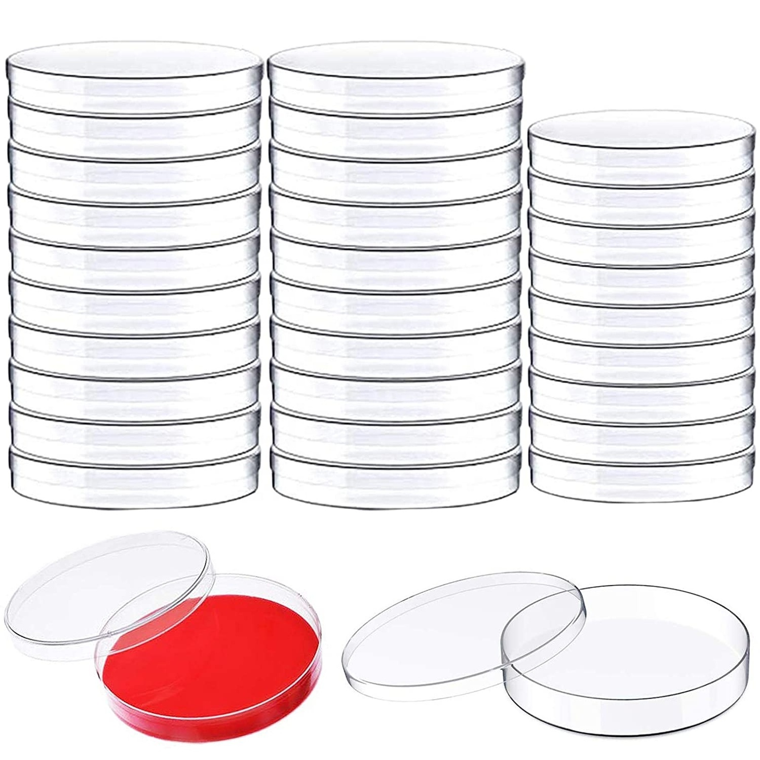 Laboratory glassware culture dish  animals plants bacteria boro 3.3 glass petri dish with high quality