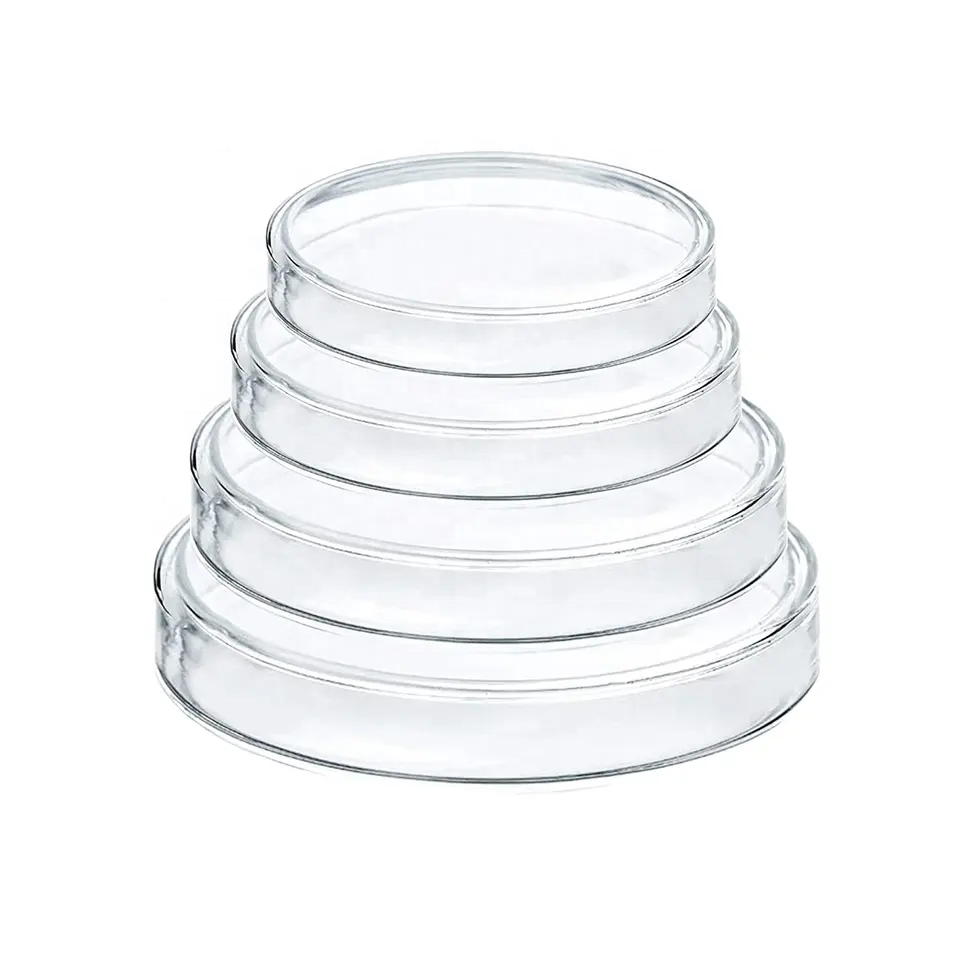 Laboratory Glassware 60mm 90mm 100mm Clear Borosilicate Glass Petri Dish With Lids Petri Dish For Microscopy