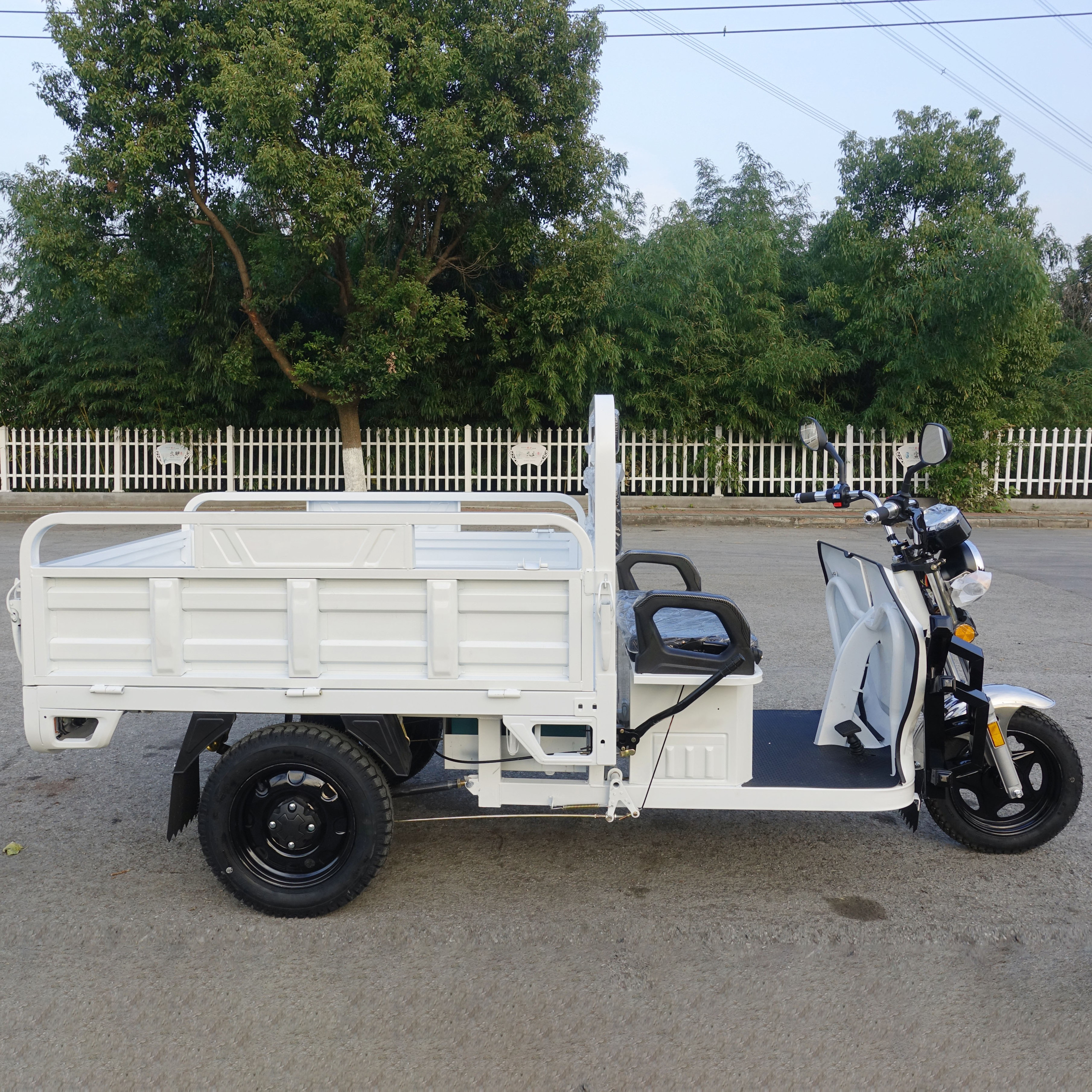 2022 New Adult Three Wheel Electric Tricycles triciclo electrico adulto