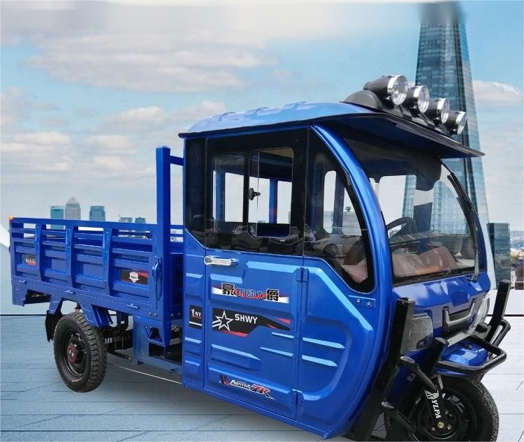 3 Wheel Electric Motorcycle Car With Drive Cabin/electric Scooter Enclosed With Passenger Seat/cargo Tricycle For Adults