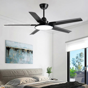 Philippines 52 Inch 56 Inch Home Decorative Iron 5 Blades Remote Control Modern Mute Bldc Ceiling Fan With Light