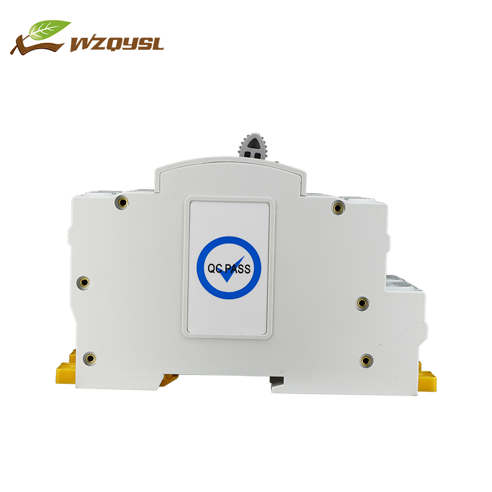 WZQY  Factory Price ATS Automatic Transfer Switch 63A 2 Pole ATS Automatic Transfer Switch Suitable for Diesel Generators