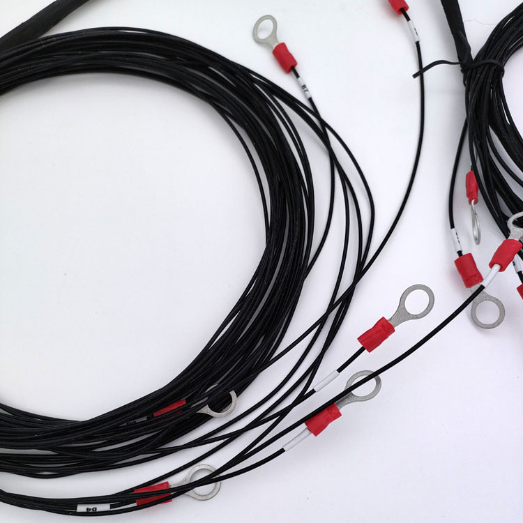 BMS master/slave interconnection cable Wiring Harness OEM AF200 0.5 Wiring 19 Voltage Acquisition Harness (7-4#)