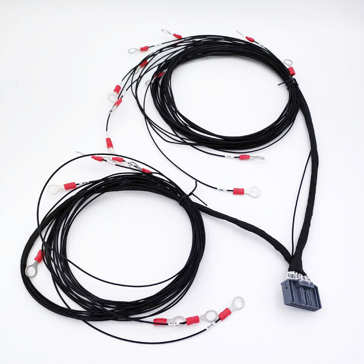 BMS master/slave interconnection cable Wiring Harness OEM AF200 0.5 Wiring 19 Voltage Acquisition Harness (7-4#)