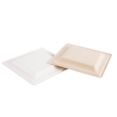 100% Compostable 10 Inch Strong Restaurant Bagasse Plate Disposable White Bagasse Plate