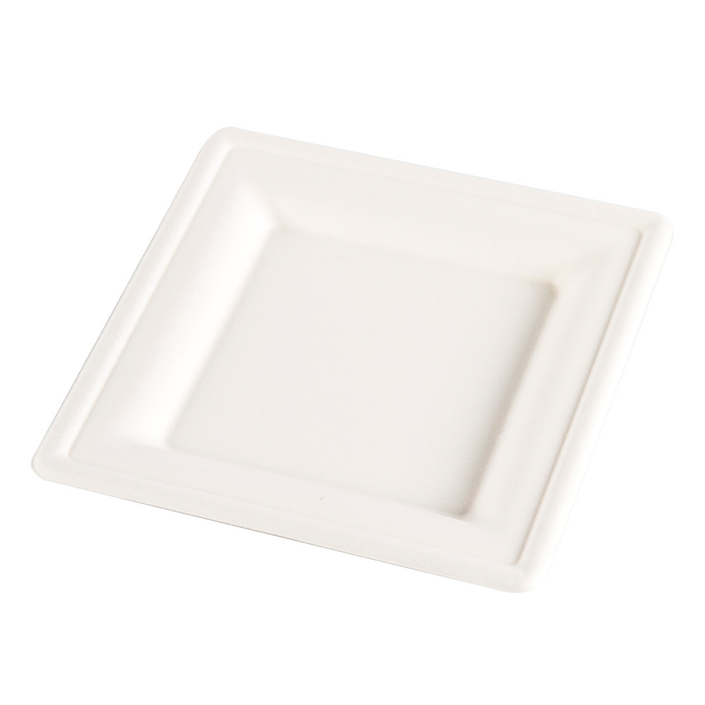 100% Compostable 10 Inch Strong Restaurant Bagasse Plate Disposable White Bagasse Plate