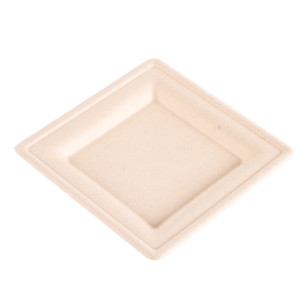 100% Compostable 10 Inch Strong Restaurant Bagasse Plate Disposable White Bagasse Plate