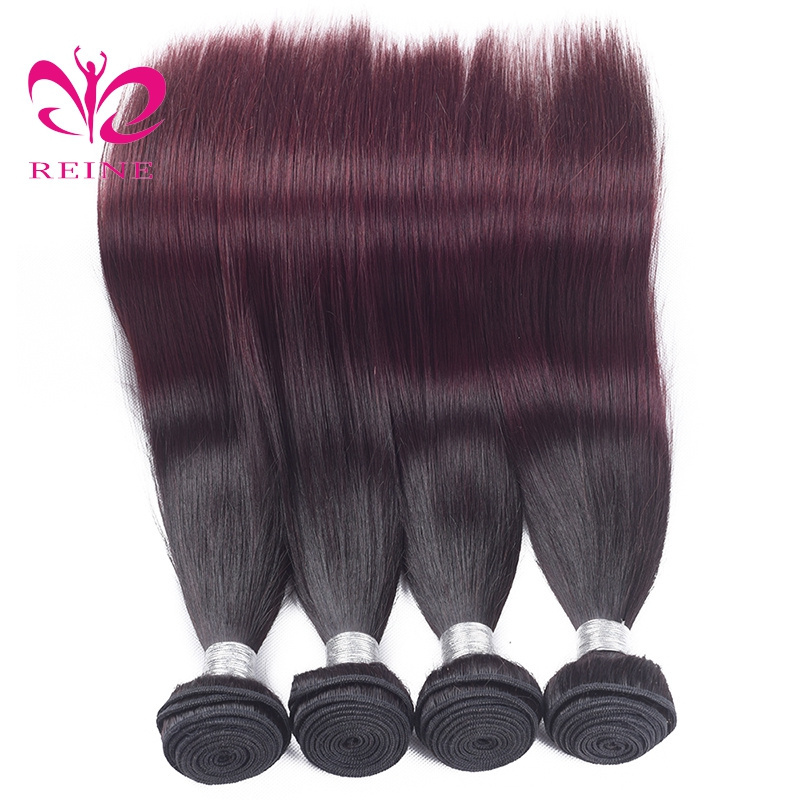 REINE fast shipping cheap virgin human hair extension 1b 99j weft wholesale price japan elgon hair color