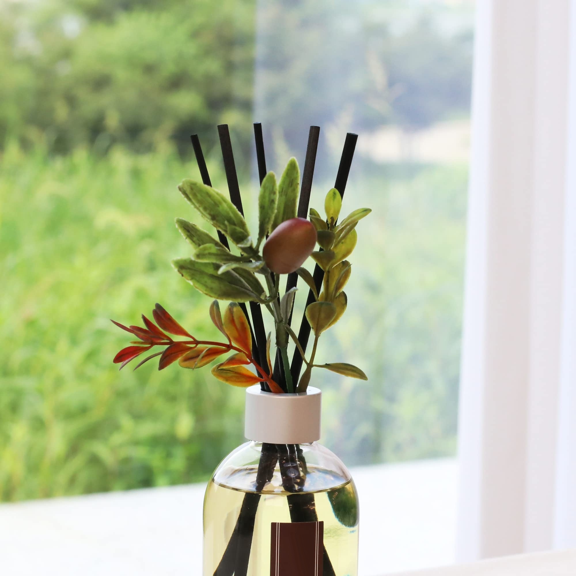 Perfect Fall Home Decoration Safe Ingredients Excellent Fragrance Decoration 50ml Reed Diffuser Set Gift For Any Occasion