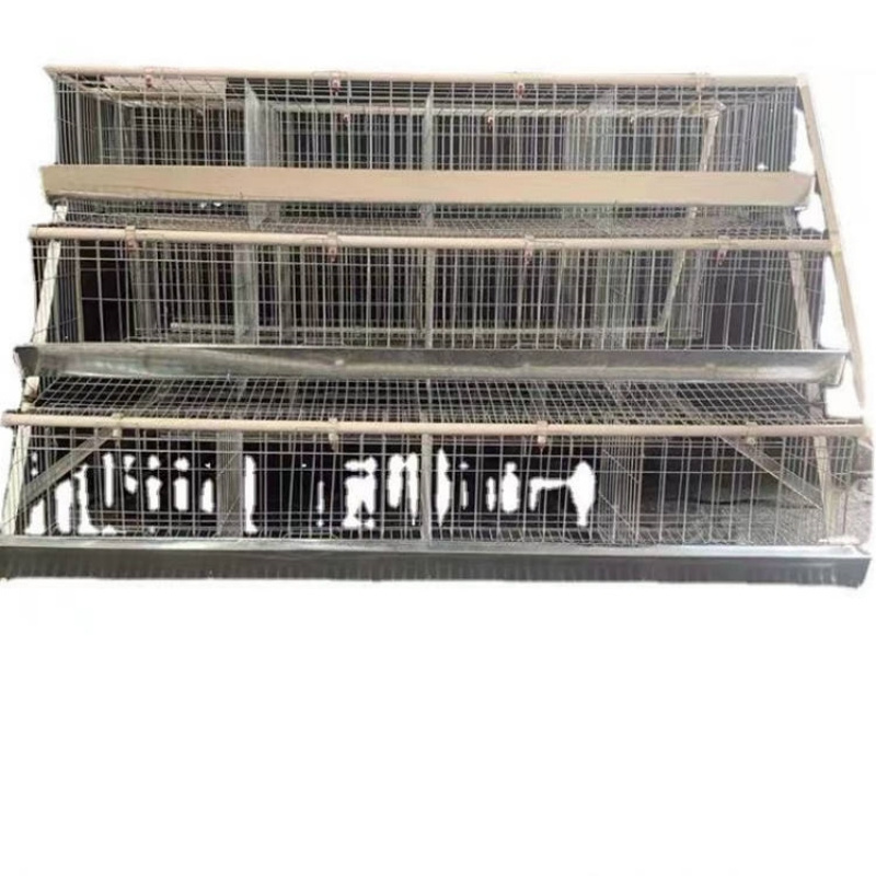 Provided Good Quality Coop South Korea Layer Chicken Cage Chicken Breeding Wooden Chicken Coop with Box Lower Egg Broken Rate 62