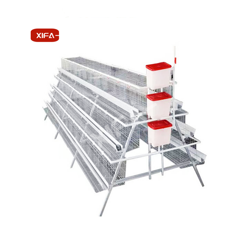 A Type Design Laying Hen Cage Cage Sheds Motor Chicken Coop with Box Battery Cages Provided Wooden for Poultry Chicken Layer 100