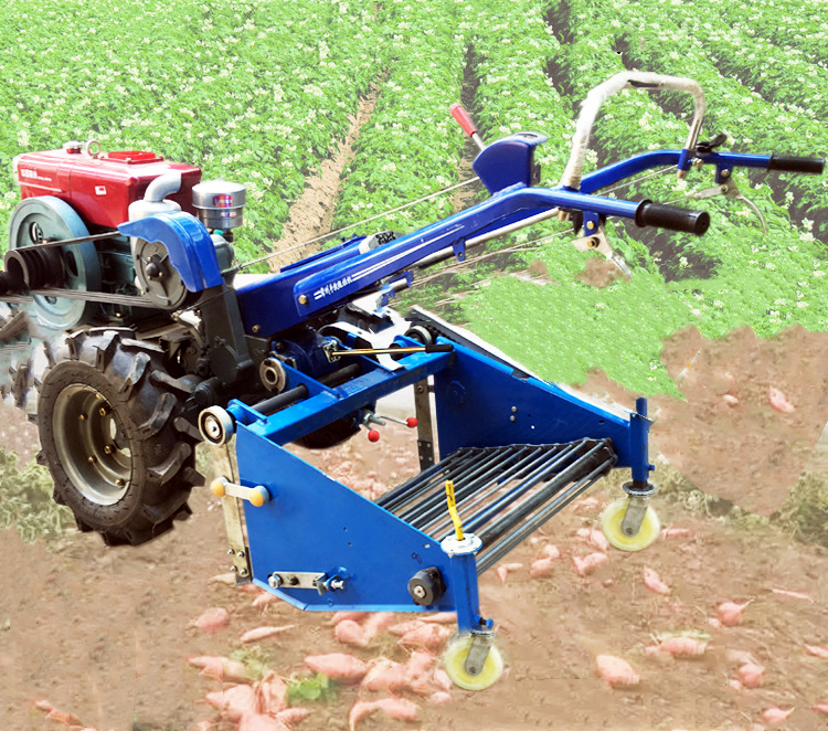 XIFA Agricultural equipment sweet potato harvester mini combine harvester price in bangladesh