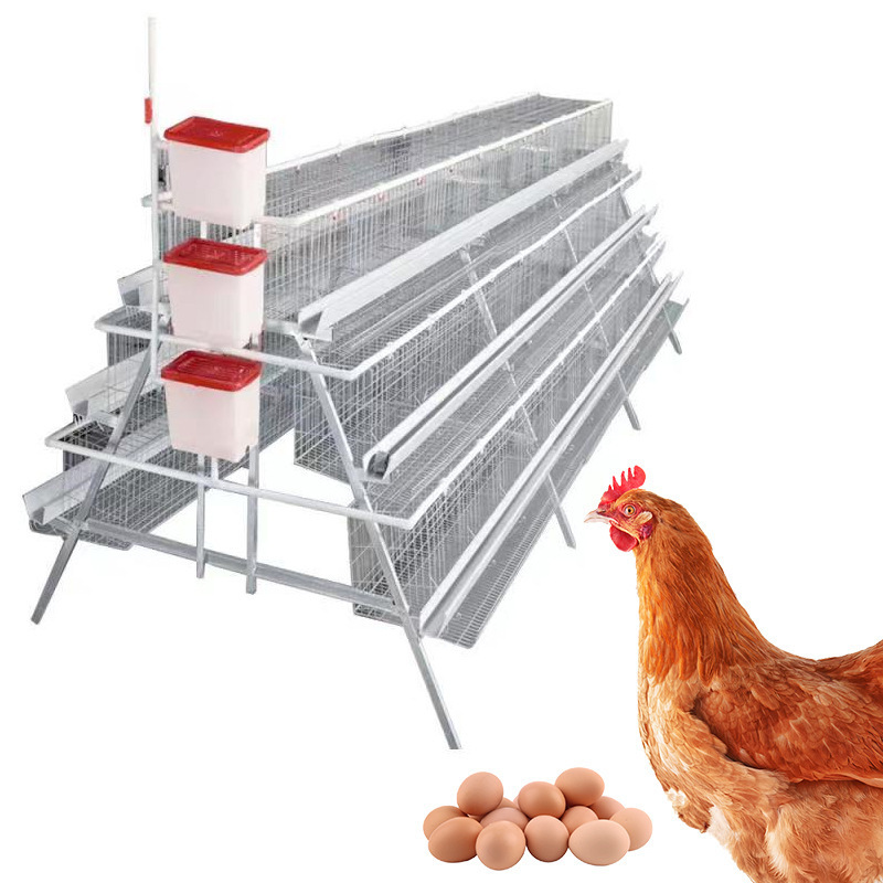 A Type Design Laying Hen Cage Cage Sheds Motor Chicken Coop with Box Battery Cages Provided Wooden for Poultry Chicken Layer 100