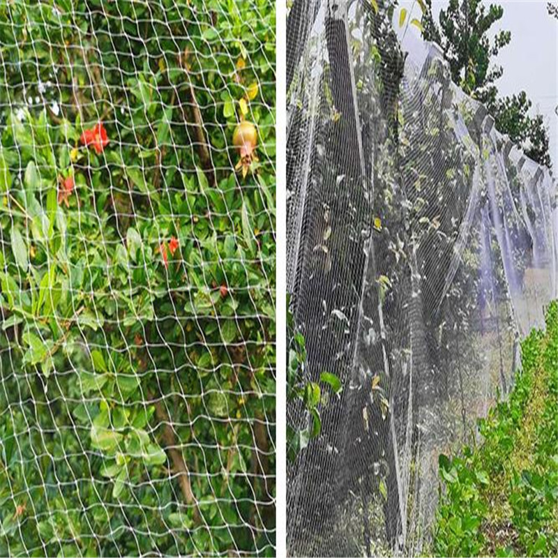 Plastic transparency deformable  bird catching net bird mist nets anti bird net