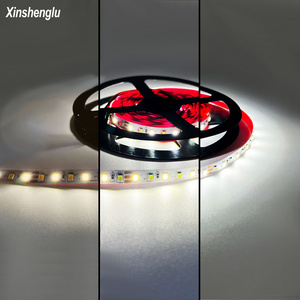 Led Strip 12V Smart Lighting 60leds/m 2 Colours CCT 3 SMD 2835 Flexible White Addressable Led Backlight Strip Light