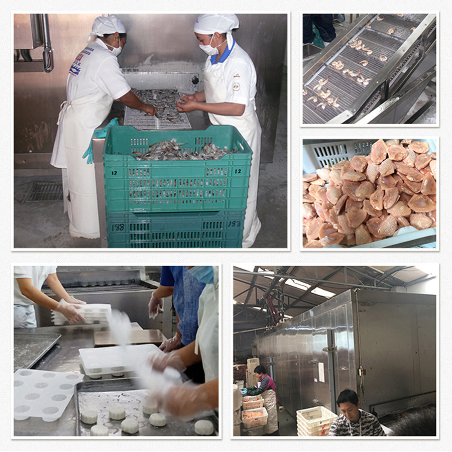 CE approved industrial blast freezers tunnel iqf freezing machine quick freeze ice cream machine