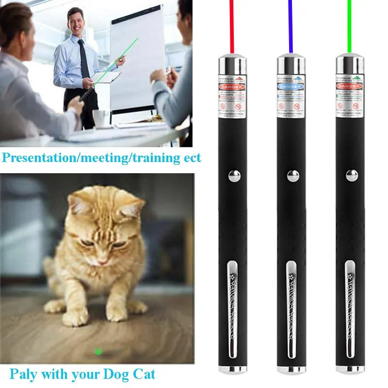 Laser Pointer Rechargeable USB Cable Green Laser Light Pointe for Dogs Cat Playing Laser Pointer Red Green Blue Violet Light