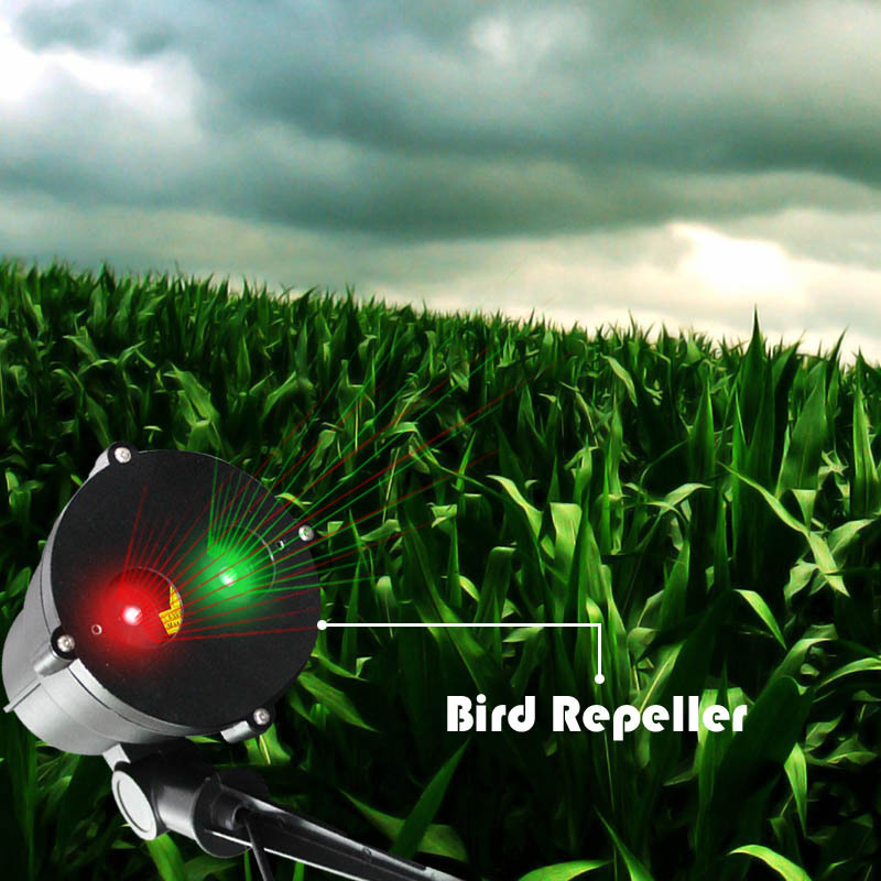 Laser Bird Deterrent Scares Birds Away