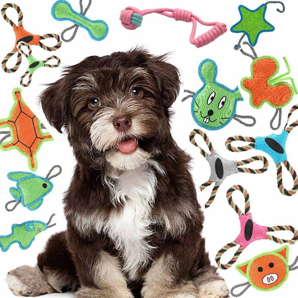 Plush Eco-Friendly Puppy Chew Toys Pack Pet Toy Set Dog Rope Toys Puppy Grinding Teeth Set