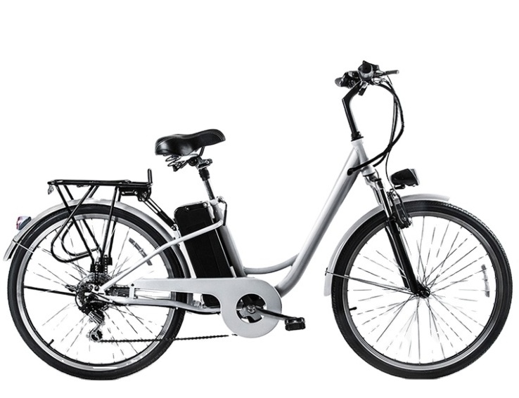 Factory direct sale 700W Cheapest new electric bike tandem bicycle for sale with LED display