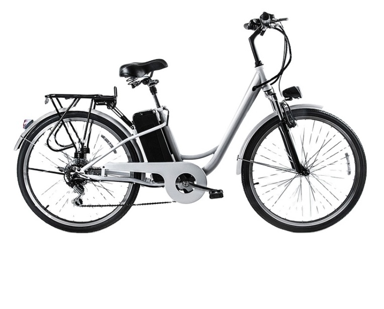 Factory direct sale 700W Cheapest new electric bike tandem bicycle for sale with LED display