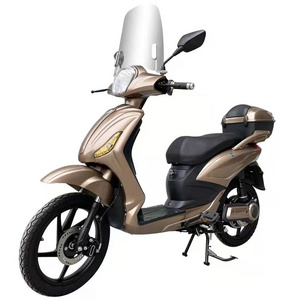 Hot Sale Ckd Factory Electric Motorcycle Scooter Electric Bicycle Moped With Pedals Adult SKYII