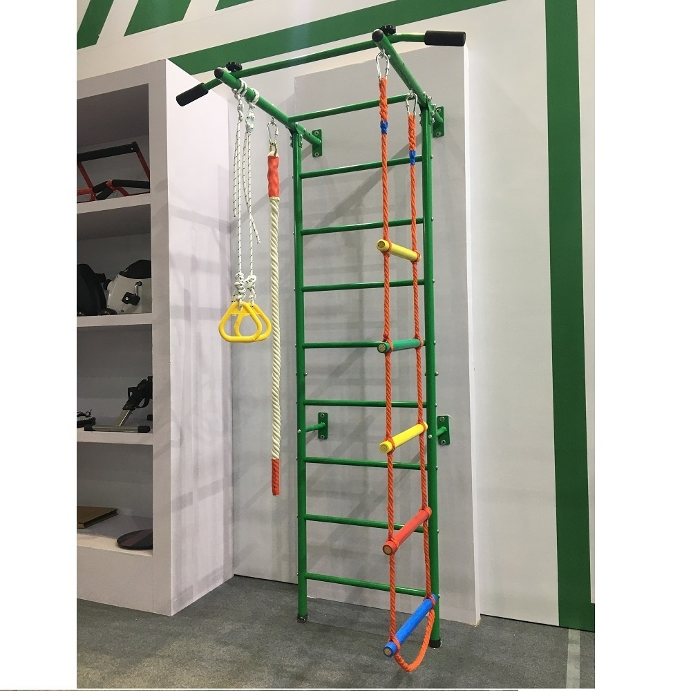 Kids Home Gym Swedish Wall Ladder Indoor adventure  Facility Jungle Gym Sports Kids Toys Kids Playground Pull Up Monkey Bars