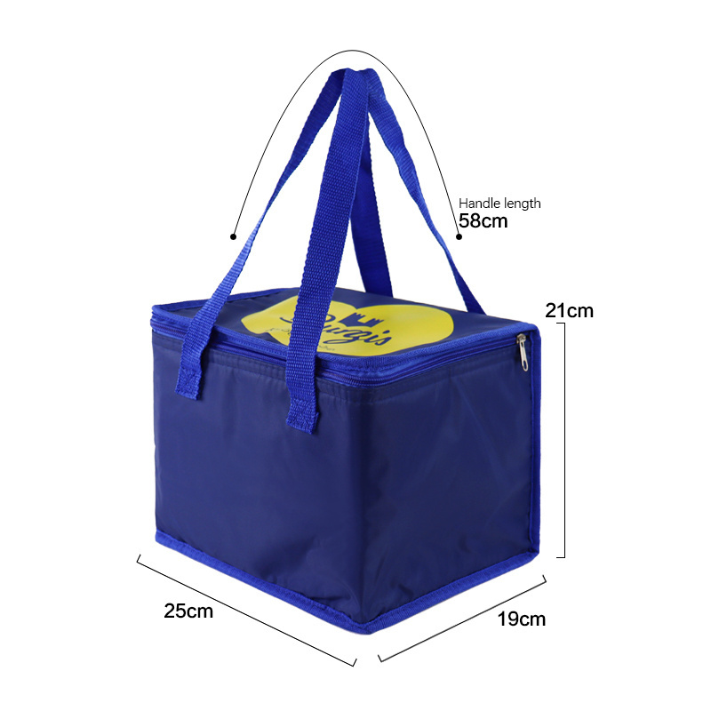 Zero Degree Collapsible Cooler Bag Rolling Medication Thermal Keep Warm or Cool Customized PP Webbing for Food Storage