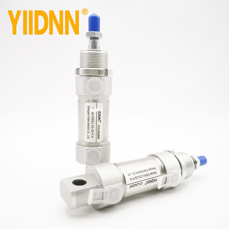 DSNU round mini stainless steel air pneumatic cylinder DSNU-10 12 16 Stroke 10-200mm DSNU-32-20-P-A