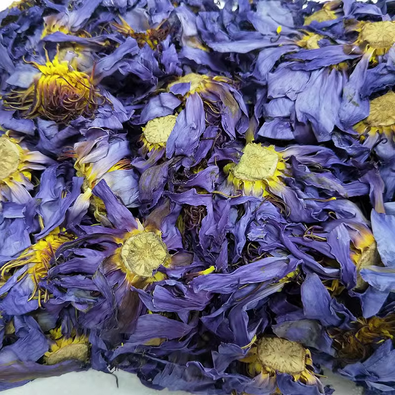 Factory Price Blue Lotus Flower Tea Oem Nymphaea Coerulea Customizable Natural Dried Whole Blue Lotus Blooming Flower Tea