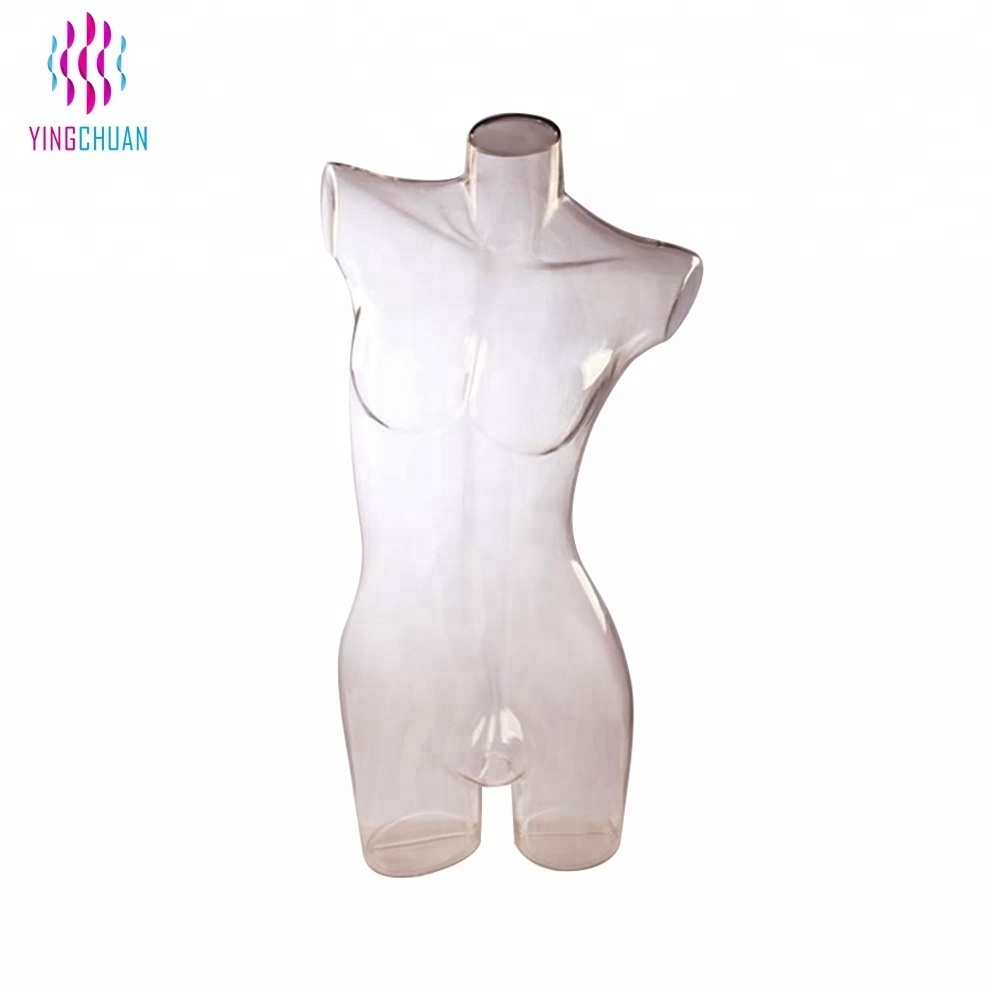 Transparent plastic mannequin female torso for sale