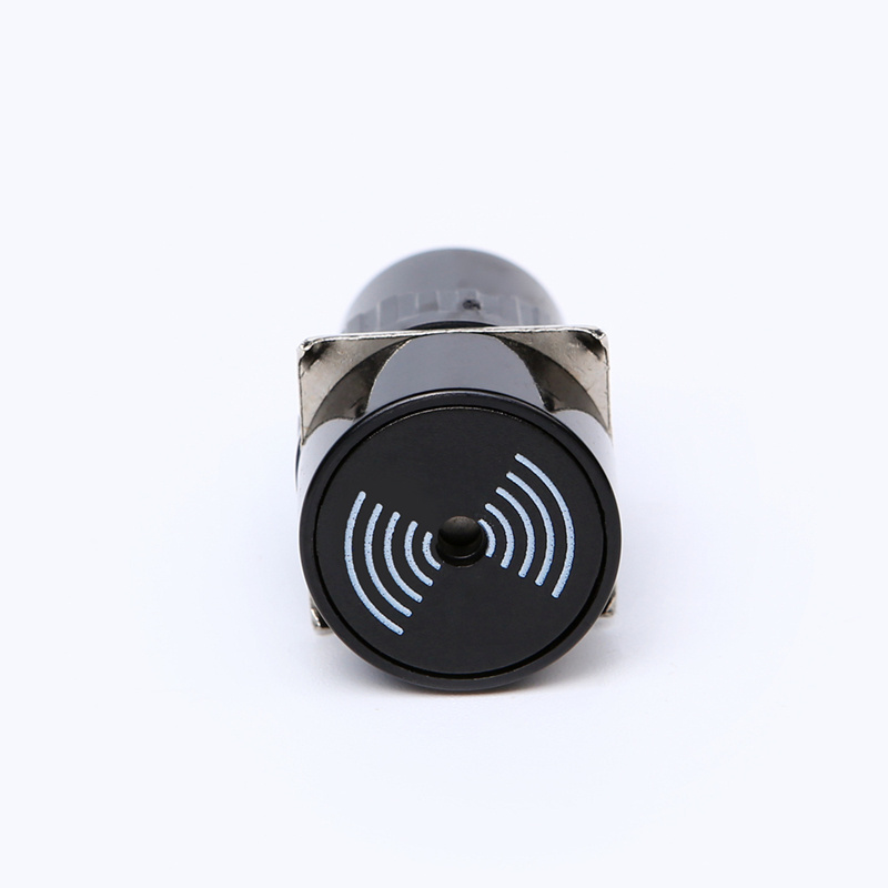 16mm plastic continuous sound buzzer buzz 6V 12V 24V 220V PB162Y-B