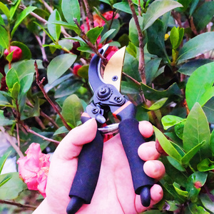 Professional Premium Titanium Bypass Stainless Steel Pruning Shears Hand Pruners Garden Clippers