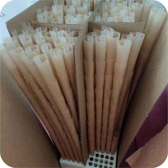 Custom Printed Rolling Paper Packaging Pre Private Logo Rolled Cone In Jar/Carton Pack 1000 Pcs