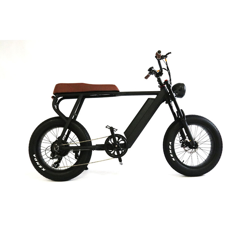 750W 48V Battery High Speed Dirt MTB Electric Bicycle Ebike Hubless Super Hybrid 73 Fat Tire MTB E bike