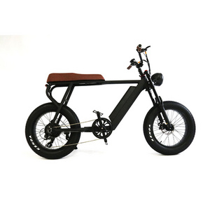 750W 48V Battery High Speed Dirt MTB Electric Bicycle Ebike Hubless Super Hybrid 73 Fat Tire MTB E bike