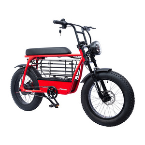 New Model Family Electric Vehicle 48V 12A Throttle & Pedal Assist Pet Carrier Electric Bicycle With Children