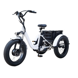 Fat Tire Three Wheels Pedal Assisted E Bike Cargo Electric Moped Cargo Tricycles